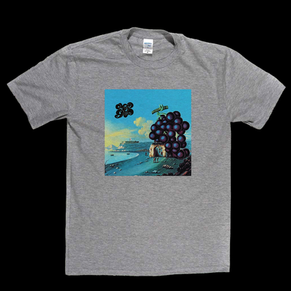 Moby Grape Wow T-Shirt